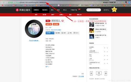 头条上如何发音乐文章,轻松撰写吸睛音乐文章，吸引粉丝关注
