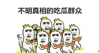 来了吃瓜群众视频,来了！揭秘“来了吃瓜群众”视频背后的故事