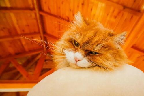 房子塌了吃瓜视频,惊险瞬间！房子塌陷现场吃瓜群众围观