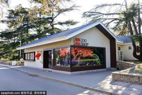 鹈鹕商店网红,网红打卡新地标，潮流购物新体验