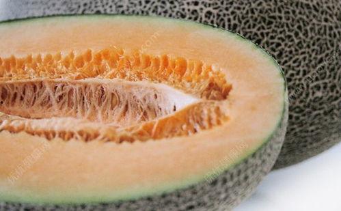 吃哈密瓜舌苔少,舌苔轻盈显健康