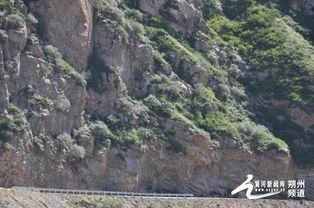 礼泉小石沟新闻头条