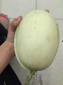 原谅吃瓜的画面,揭秘娱乐圈幕后真相