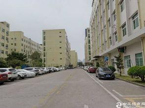 深圳龙岗大道新闻头条号,聚焦城市发展新篇章