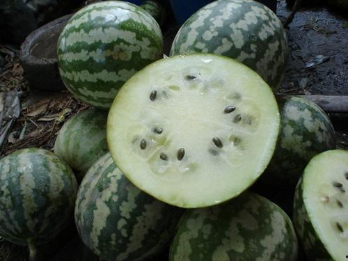 绿宝瓜如何切块吃,尽享夏日清新美味