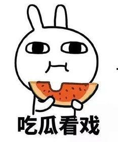 吃瓜打开正确方式,轻松享受夏日清凉
