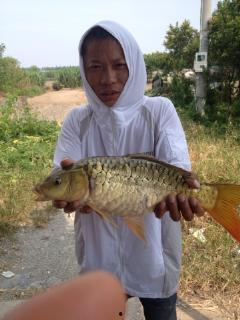 吃瓜钓鱼视频大全,吃瓜钓鱼两不误，趣味视频大全来袭！